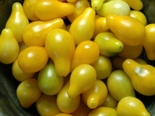Tomato - Yellow Pear