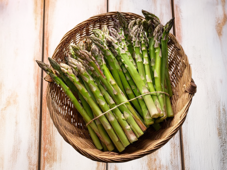 Asparagus - Mary Washington