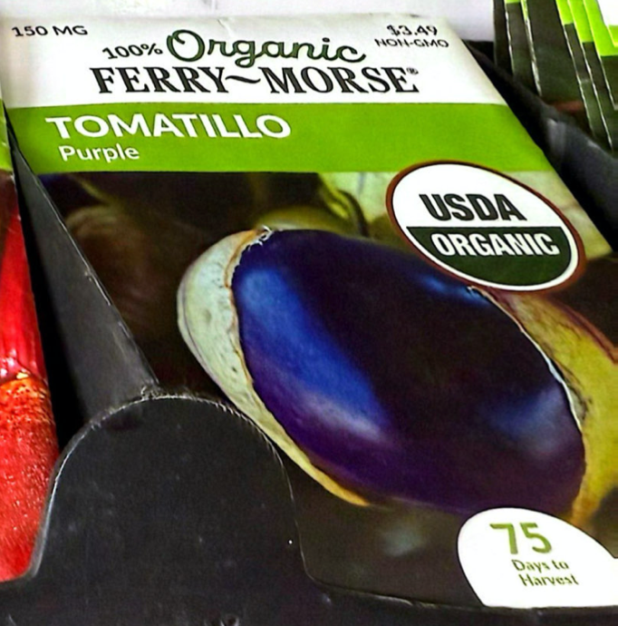 Tomatillo - Purple