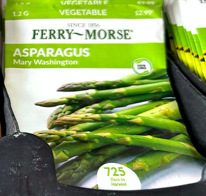 Asparagus - Mary Washington