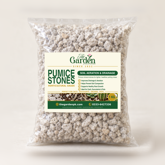 Pumice Stones — Horticultural Grade for Soil Aeration & Drainage, Cacti & Succulents