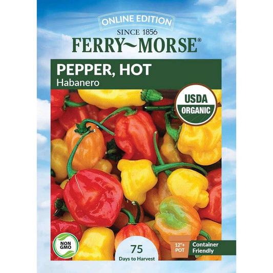 Organic Pepper Hot Habanero Seeds
