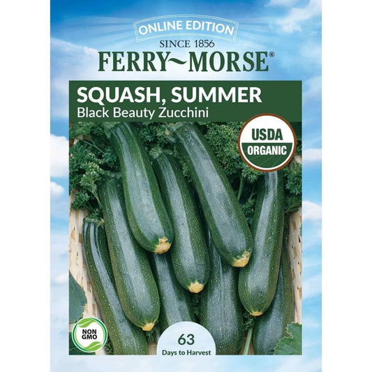Organic Squash Summer Zucchini Elite Seeds
