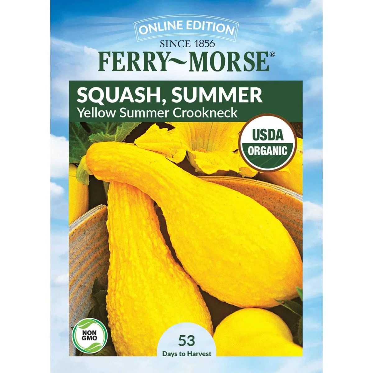 Squash, Yellow Summer Crookneck Organic Seeds