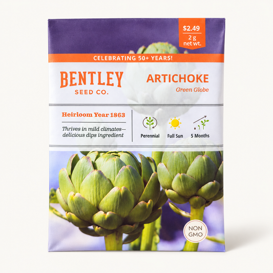 Bentley Artichoke Green Globe Seeds