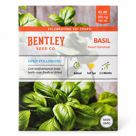 Bentley Basil Sweet Genovese Seeds