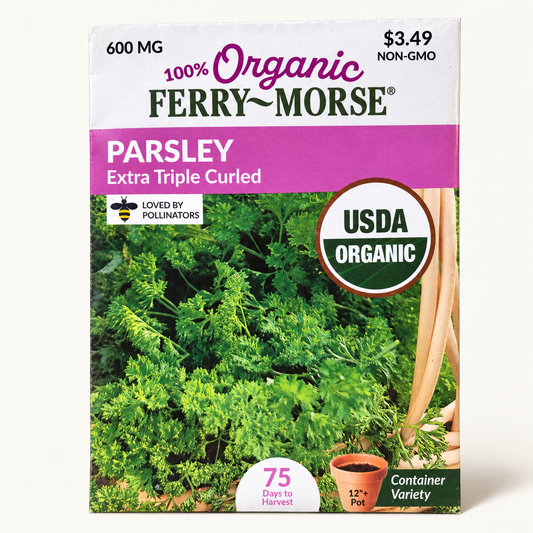 Ferry-Morse Organic Parsley Extra Triple Curled Seeds