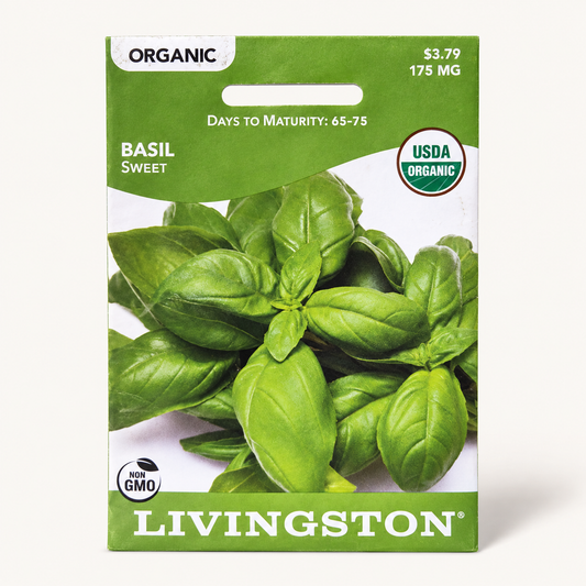 Livingston Basil Sweet Seeds