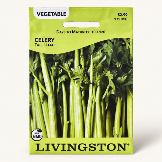 Livingston Celery Tall Utah Seeds