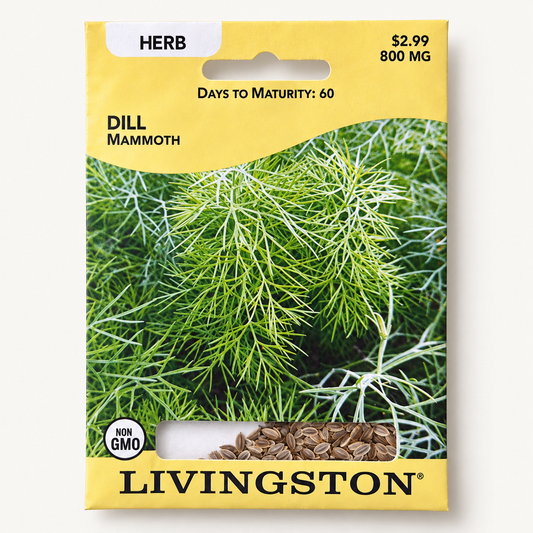 Livingston Dill Mammoth Seeds