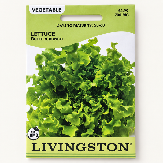Livingston Lettuce Buttercrunch Seeds