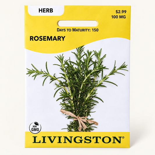 Livingston Rosemary Seeds