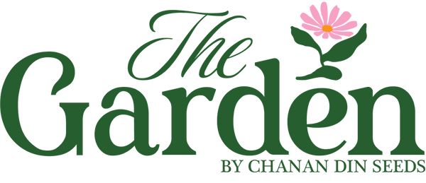 The Garden By Chanan Din