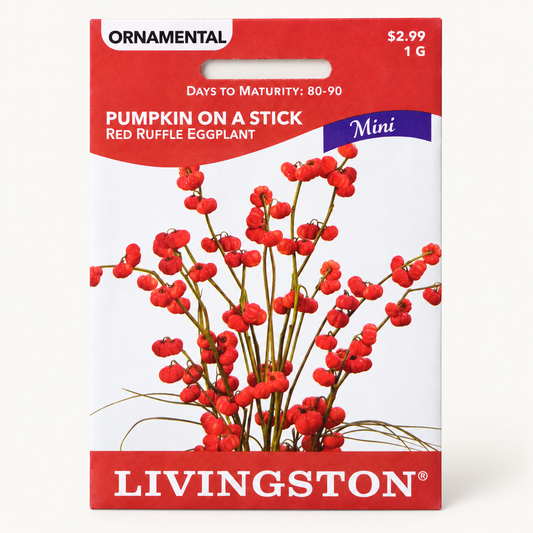 Pumpkin on a Stick Seeds — Red Ruffle Eggplant