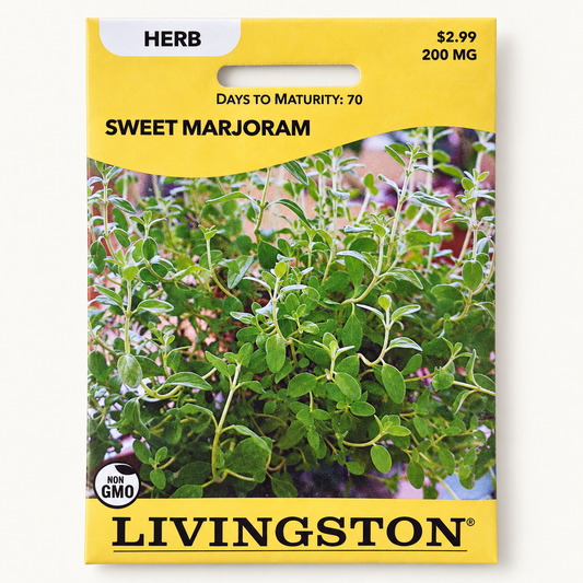 Sweet Marjoram Seeds