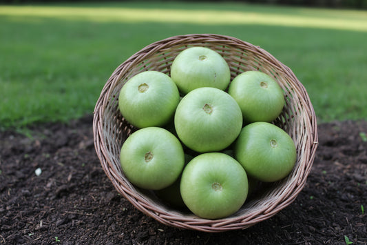 Tinda Seeds